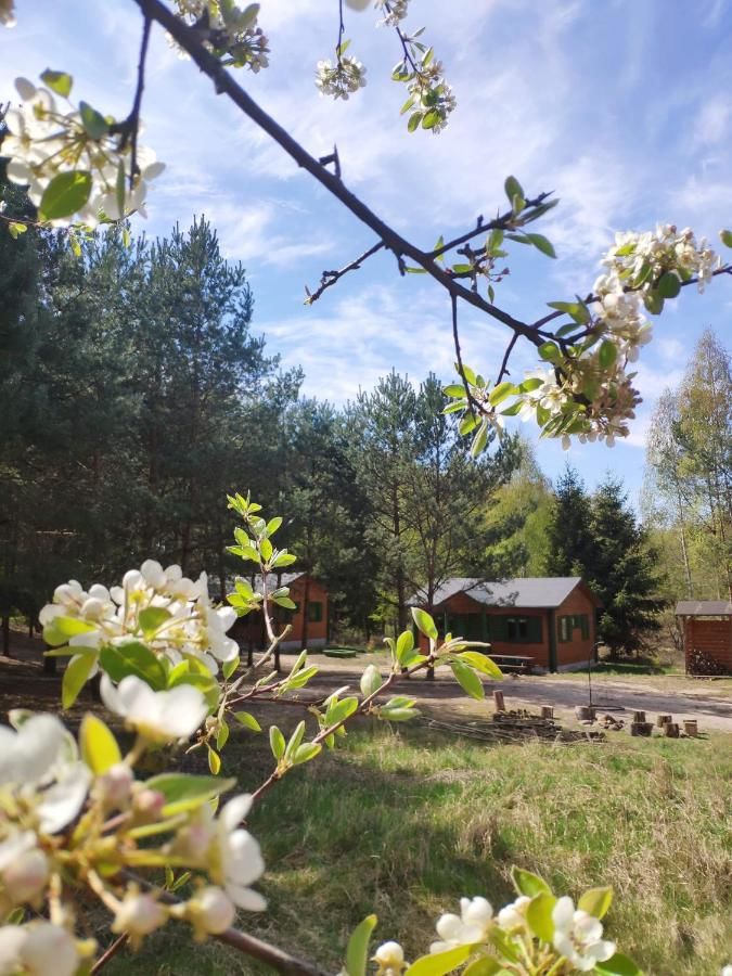 Лоджи Agroturystyka Oaza Ciszy i Spokoju Międzychód-5