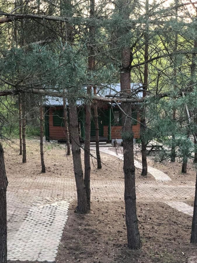 Лоджи Agroturystyka Oaza Ciszy i Spokoju Międzychód-29