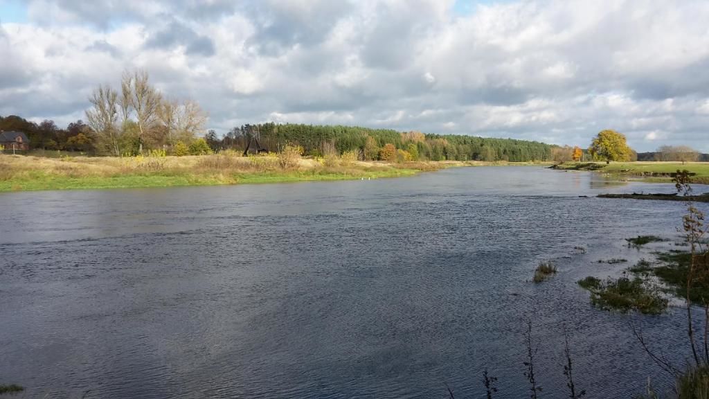 Лоджи Agroturystyka Oaza Ciszy i Spokoju Międzychód-93